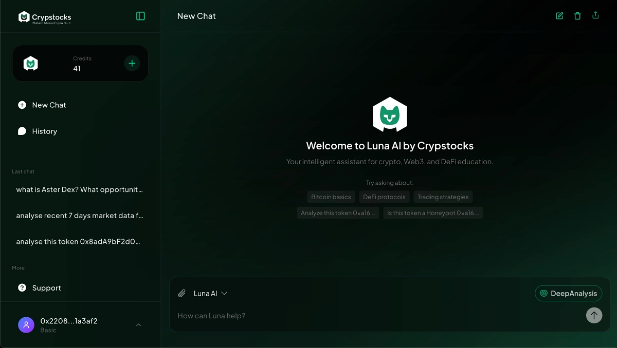 Chat Interface